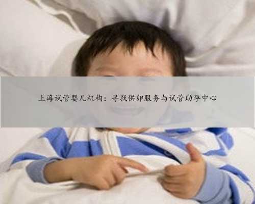 上海试管婴儿机构：寻找供卵服务与试管助孕中心
